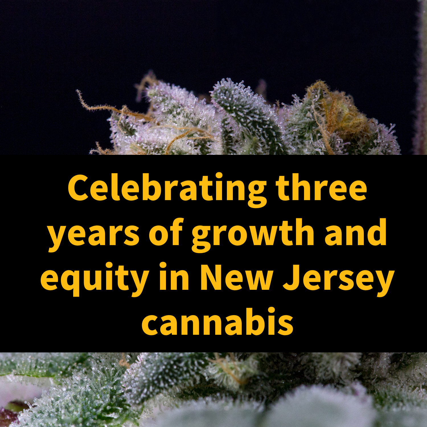 Celebrating three years of growth and equity in NJ cannabis